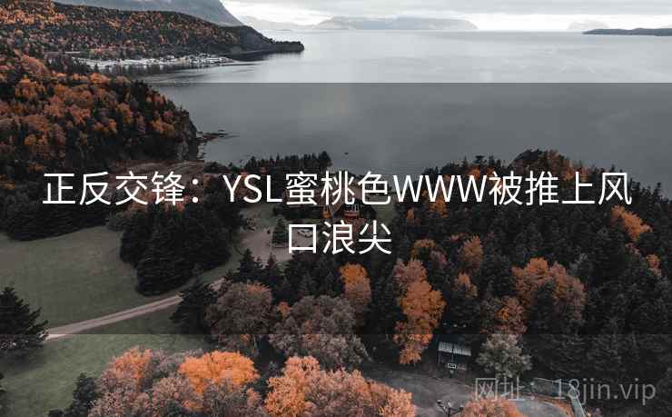 正反交锋：YSL蜜桃色WWW被推上风口浪尖