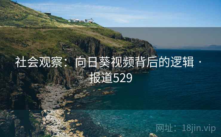 社会观察：向日葵视频背后的逻辑 · 报道529