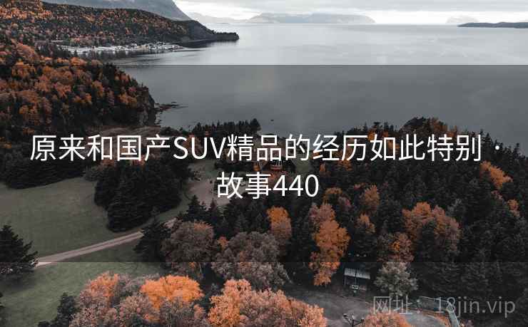原来和国产SUV精品的经历如此特别 · 故事440