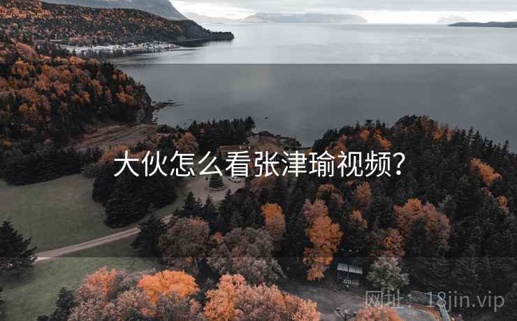 大伙怎么看张津瑜视频？