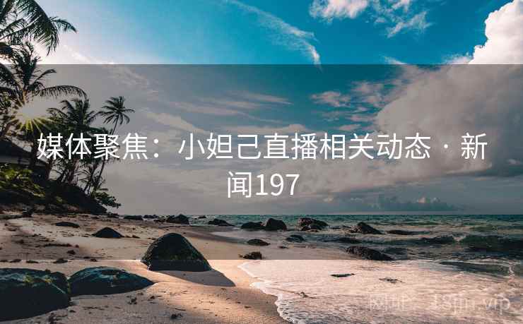媒体聚焦：小妲己直播相关动态 · 新闻197