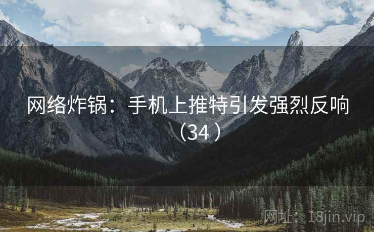 网络炸锅：手机上推特引发强烈反响（34 ）